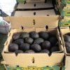 Caja de aguacates
