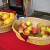 Frutas de Copey