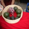 Frutas de Copey