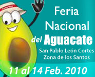 Feria del aguacate