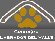 LabradorDelValle