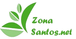 Zonasantos.net Zonasantos.net